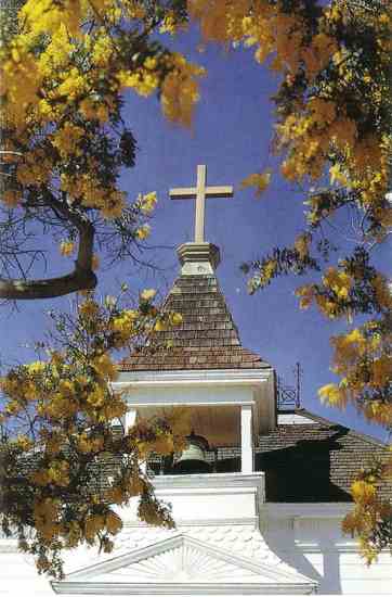 
Some observers foresee church led environmentalism becoming a major trends in the 90s.
